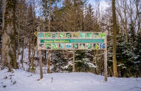 Winterwandern am Walderlebnisweg Gschaidt, © Wiener Alpen in Niederösterreich