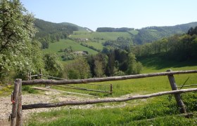 Buchberger Weg (Warth-Petersbaumgarten-Kaltenberg), © Wiener Alpen in Niederösterreich - Bad Schönau