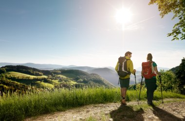 Wandern in der Buckligen Welt, © Wiener Alpen, Florian Lierzer