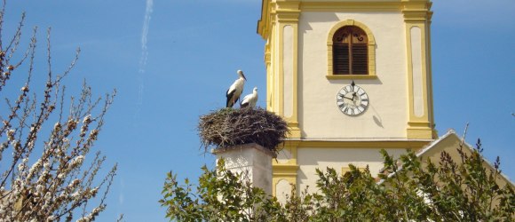 WAB - Regionale Route B: Krumbach - Maria Schnee, © Wiener Alpen in Niederösterreich