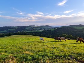 Distelleiten-Strecke bei Burgerschlag, © Wiener Alpen in Niederösterreich