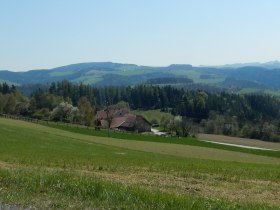 Wandern in Edlitz | Bucklige Welt, © Wiener Alpen in Niederösterreich - Bad Schönau