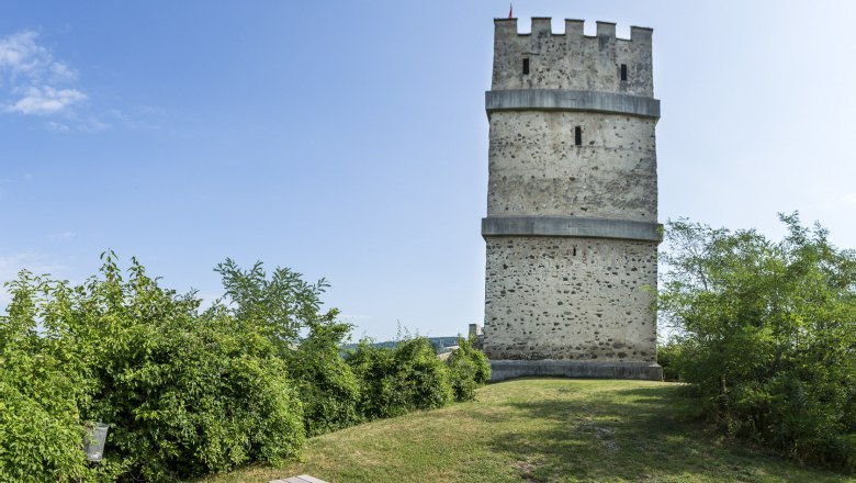 Feuerturm der Burgruine Kirchschlag, © Wiener Alpen, Franz Zwickl