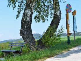 Bankerl mit Wetterlehrpfad-Farbscheibe (Copyright: Karl Gradwohl), © Wiener Alpen in Niederösterreich - Bad Schönau