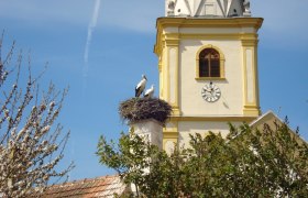 Wanderung Krumbach: Schloss - Kraxenberg, © Wiener Alpen in Niederösterreich