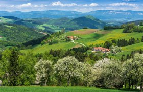 Frühling in Thomasberg, © Wiener Alpen, Foto: www.audivision.at