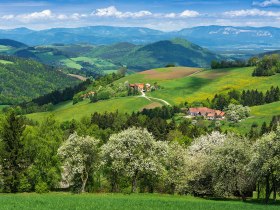 Thomasberg im Land der 1000 Hügel, © ©Wiener Alpen/ Walter Strobl