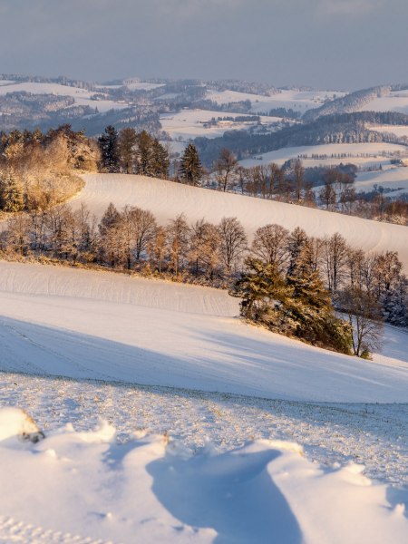 Winter, © Wiener Alpen, Franz Zwickl