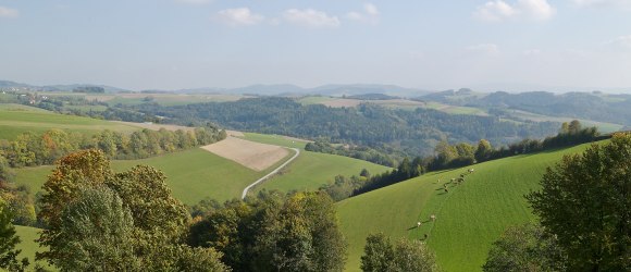 Walderlebnisweg Gschaidt, © Wiener Alpen in Niederösterreich - Bad Schönau