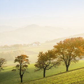 Ősz a Bucklige Weltben, © Wiener Alpen, Franz Zwickl