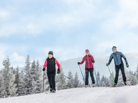 Die Nordic Arena eignet sich perfekt für Anfänger und Einsteiger, © L&WSV Kirchberg am Wechsel