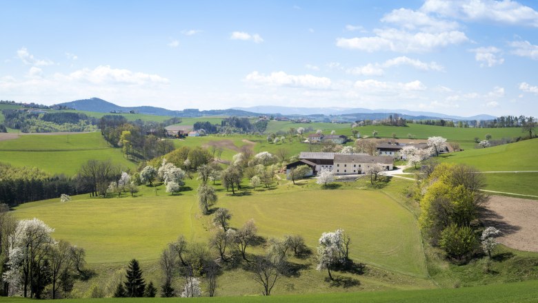 Blick nach Wiesmath, © Wiener Alpen, Franz Zwickl