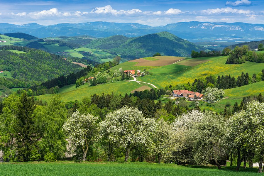 Landscape in spring, © Walter Strobl, www.audivision.at