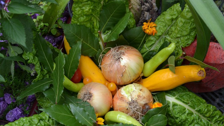 Salat und Gemüse in Hülle und Fülle, © Naturgartenparadies Beisteiner