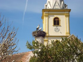 Wanderung Krumbach: Schloss - Kraxenberg, © Wiener Alpen in Niederösterreich