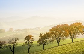 Herbst in der Buckligen Welt, © Wiener Alpen, Franz Zwickl