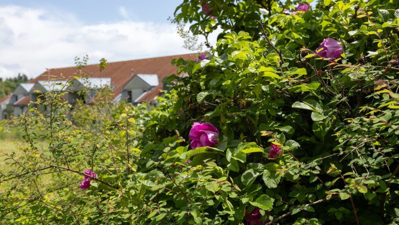 Weitläufiger Garten, © ÖJAB Waldpension