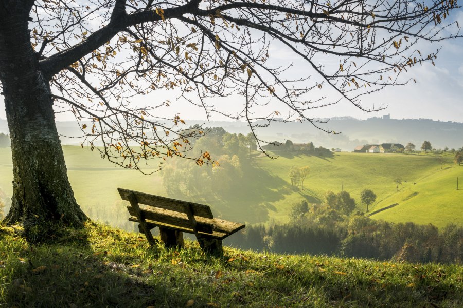 Enjoy autumn, © Wiener Alpen, Franz Zwickl