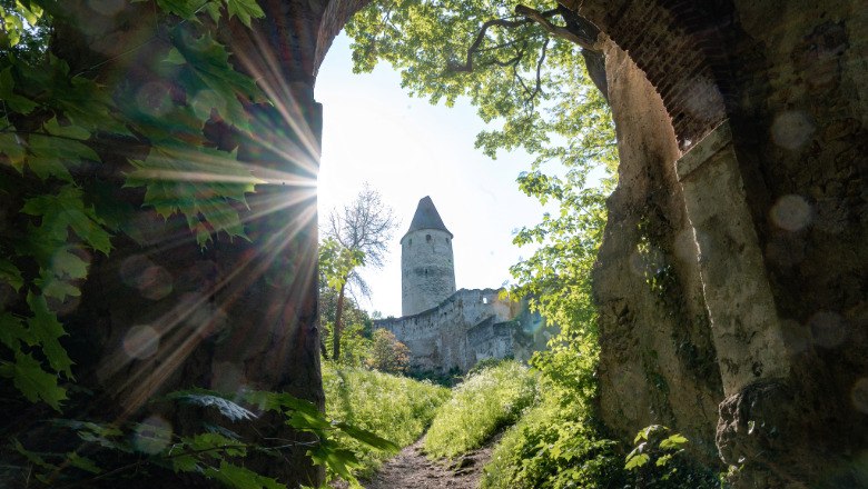 Burgtor Seebenstein, © Claudia Schlager