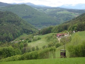 Buchberger Weg (Warth-Petersbaumgarten-Kaltenberg), © Wiener Alpen in Niederösterreich - Bad Schönau