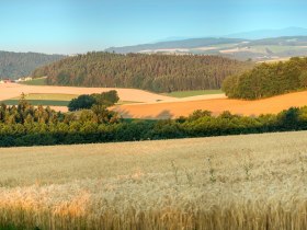 Beistein bei Wiesmath, © Wiener Alpen in Niederösterreich