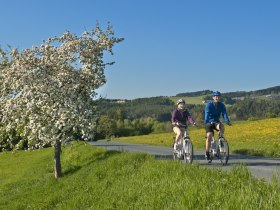 E-Biken in der Buckligen Welt, © © Gemeinsame Region Bucklige Welt, Fotograf: www.audivision.at