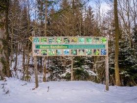 Winterwandern am Walderlebnisweg Gschaidt, © Wiener Alpen in Niederösterreich