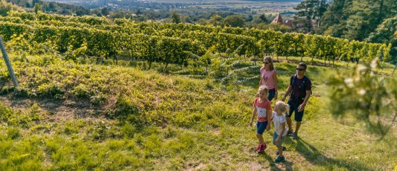 Rosalia Rundwanderweg - Etappe Eichbüchl bis Klingfurth, © Wiener Alpen in Niederösterreich - Bad Erlach