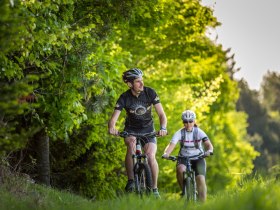 Aussichtsreiche Mountainbike-Tour, © Wiener Alpen / Christian Kremsl