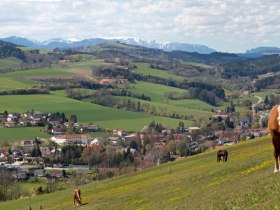 Lindenhof Krumbach, © Wiener Alpen in Niederösterreich