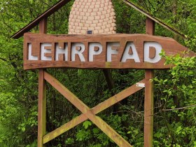 Kirchschlager Bienen- & Pflanzenlehrpfad, © Wiener Alpen in Niederösterreich