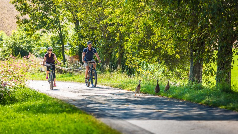 E-Biken Bucklige Welt, © Wiener Alpen, Christian Kremsl