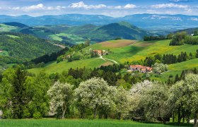 Thomasberger Frühling, © Wiener Alpen/Walter Strobl, audivision.at