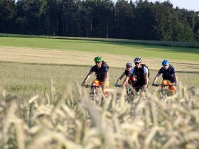 Mountainbiken in den Wiener Alpen, © ©Wiener Alpen, Foto: Thomas Bartl