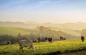 Herbstzeit genießen, © Wiener Alpen, Franz Zwickl