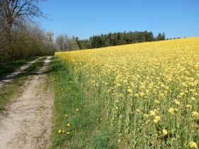 Wandern in Edlitz | Bucklige Welt, © Wiener Alpen in Niederösterreich - Bad Schönau