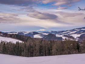 Winterwandern am Weg der Blicke Bad Schönau, © Wiener Alpen in Niederösterreich