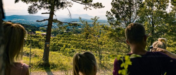 Rosalia Rundwanderweg - Etappe von Wr. Neustadt bis Eichbüchl, © Wiener Alpen in Niederösterreich - Bad Erlach