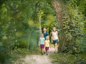 Wandern am Rosalia Rundwanderweg, © Wiener Alpen