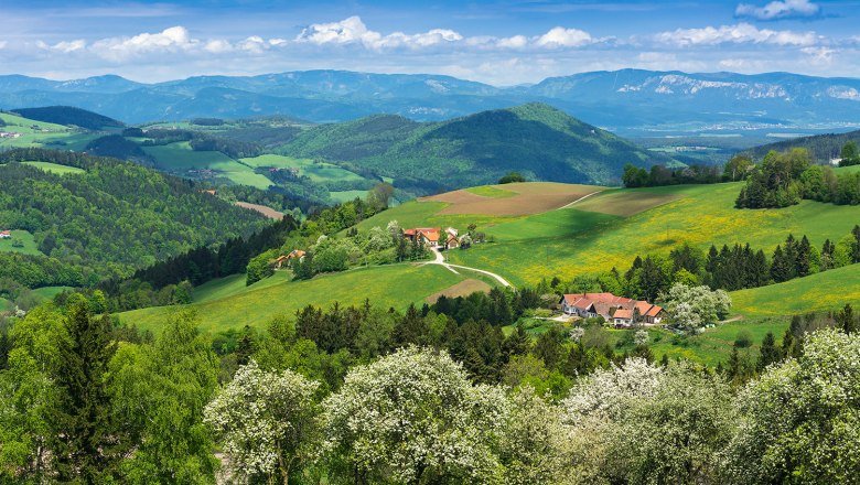 Landschaft im Frühling, © Walter Strobl, www.audivision.at