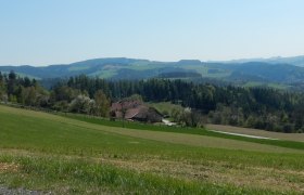 Wandern in Edlitz | Bucklige Welt, © Wiener Alpen in Niederösterreich - Bad Schönau