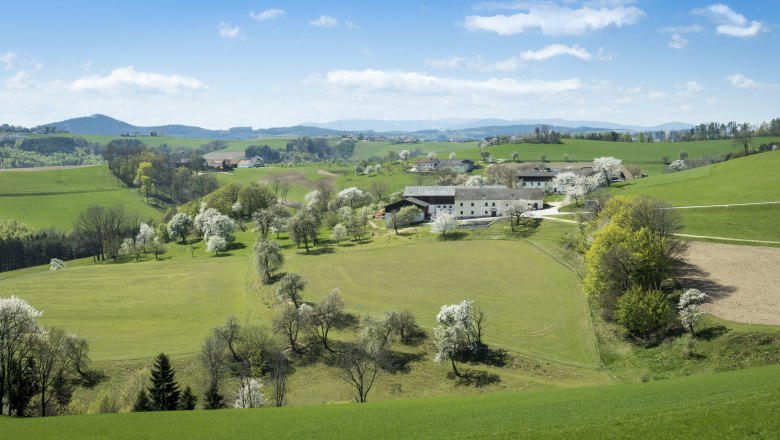 Gemeinde Wiesmath, © Wiener Alpen, Franz Zwickl