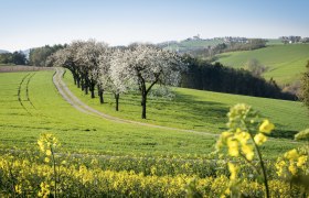 Tavasz a Bucklige Weltben, © Wiener Alpen, Franz Zwickl