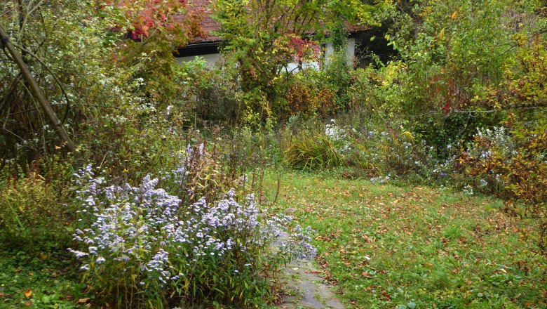 Herbst im Schaugarten, © Elke Guttmann