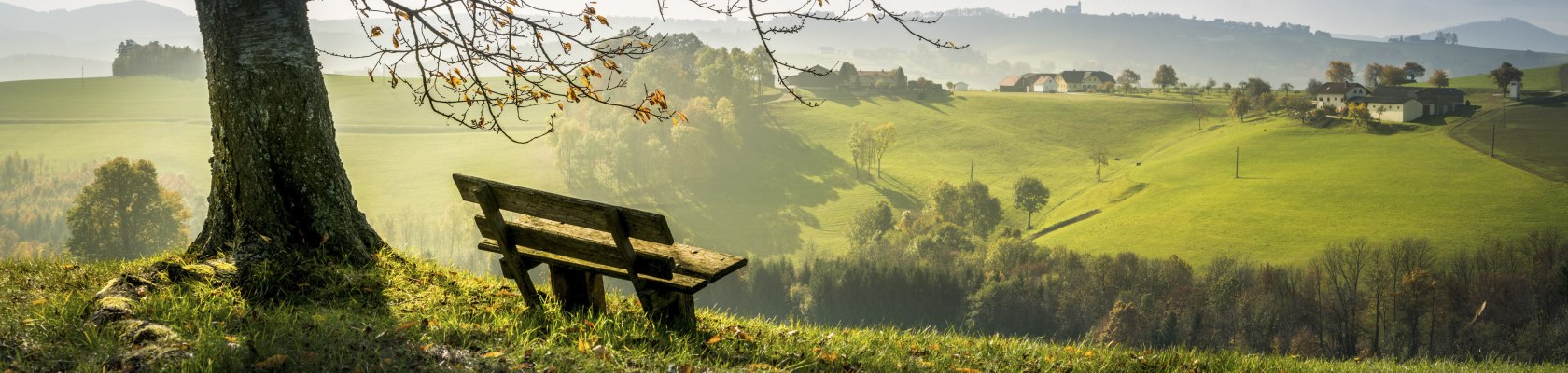 wundervoll farbenfroh, © Wiener Alpen, Franz Zwickl