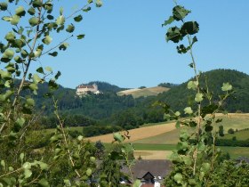 Blick aufs Schloss Krumbach, © ©TheRunnerUp